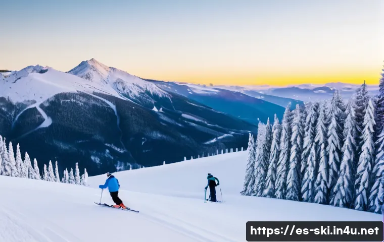 스키장 드론 촬영 허용 여부 관련 이미지 2