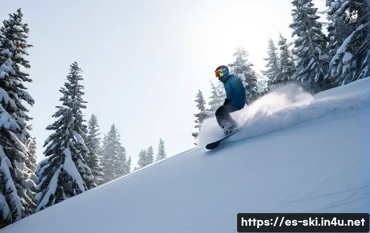 스노우보드 모델별 리뷰 관련 이미지 1